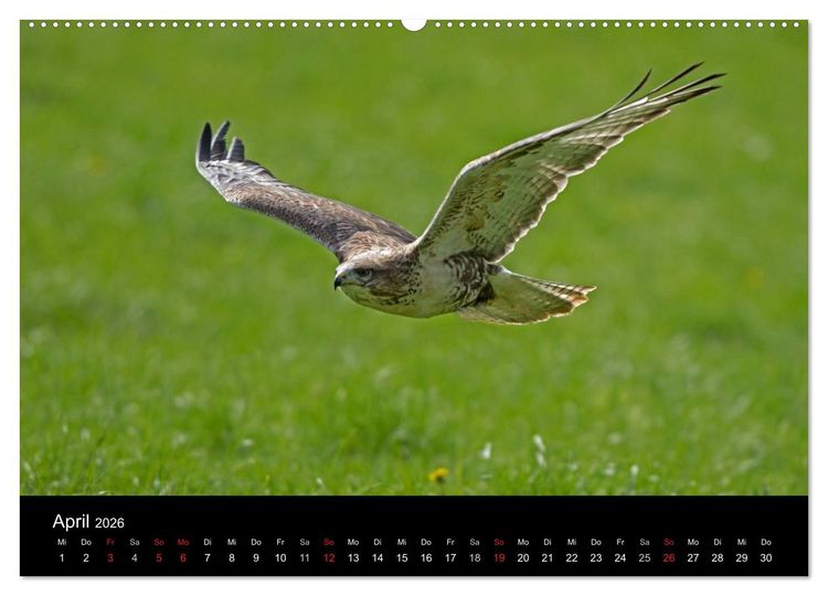 Produktbild: Wilde Heimat (hochwertiger Premium Wandkalender 2026 DIN A2 quer), Kunstdruck in Hochglanz