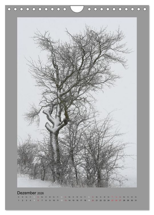 Produktbild: Jahreszeiten (Wandkalender 2026 DIN A4 hoch), CALVENDO Monatskalender