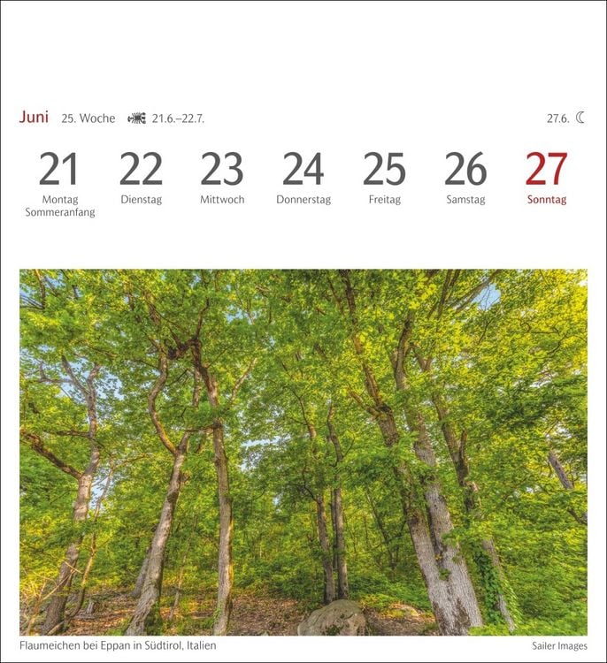 Produktbild: B&auml;ume Postkartenkalender 2027 - Wochenkalender mit 53 Postkarten