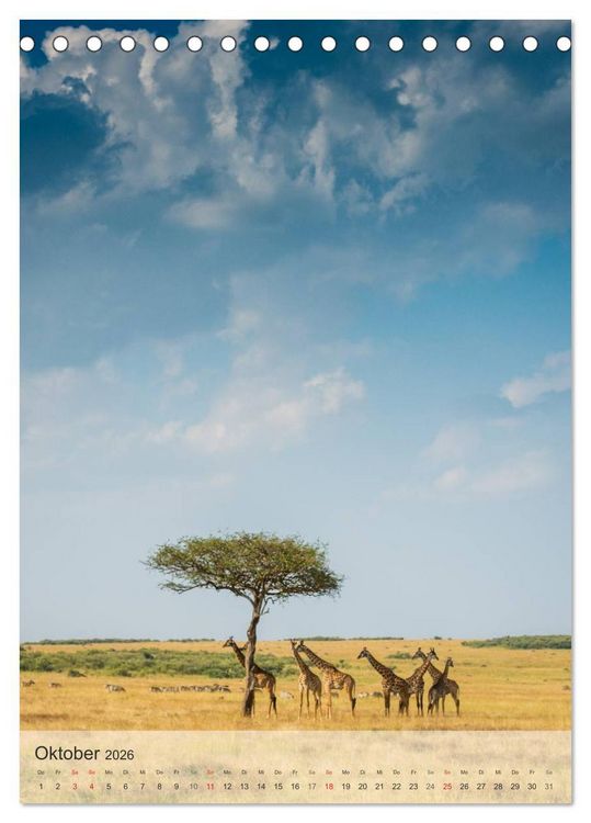 Produktbild: Emotionale Momente: Giraffen, die h&ouml;chsten Tiere der Welt. (Tischkalender 2026 DIN A5 hoch), CALVENDO Monatskalender