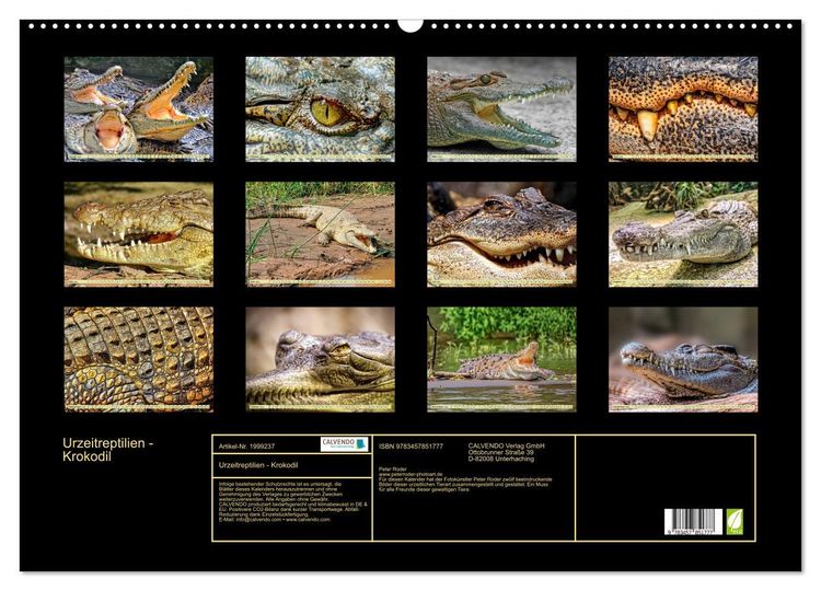 Produktbild: Urzeitreptilien - Krokodil (Wandkalender 2026 DIN A2 quer), CALVENDO Monatskalender