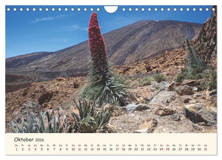 Produktbild: Teneriffa in Bildern (Wandkalender 2026 DIN A4 quer), CALVENDO Monatskalender