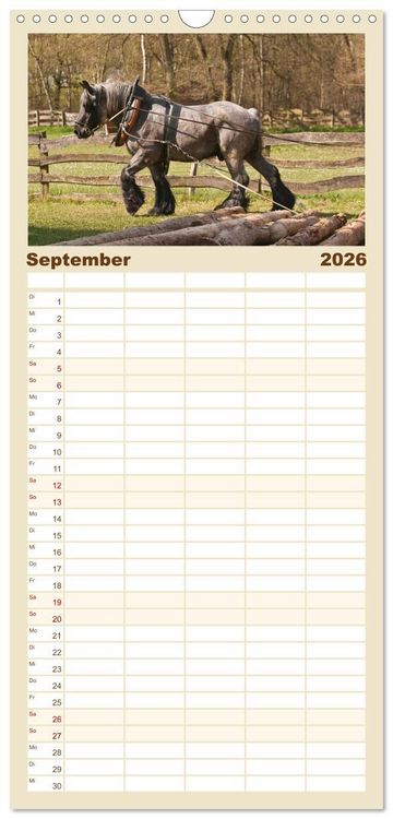 Produktbild: Familienplaner 2026 - Kaltblut - schwere Pferde mit Herz mit 5 Spalten (Wandkalender, 21 x 45 cm) CALVENDO
