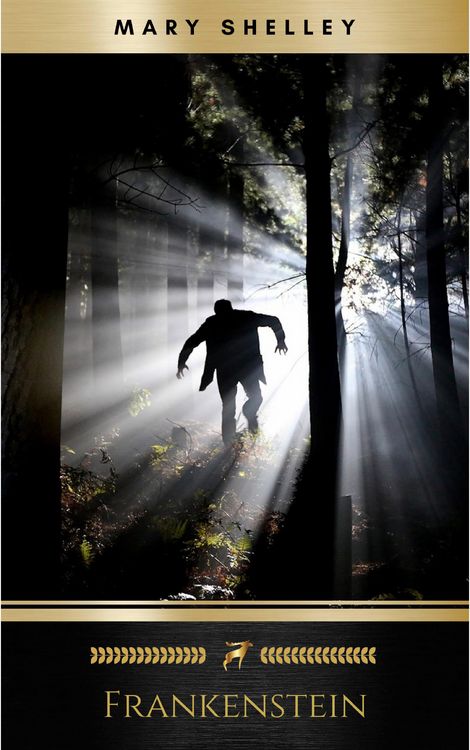 Produktbild: Frankenstein; or, The Modern Prometheus