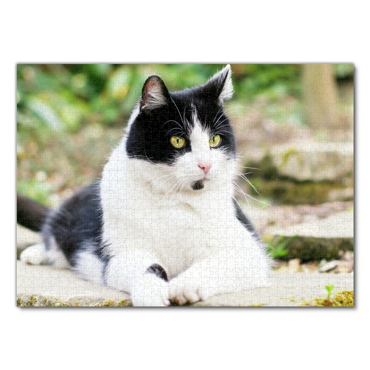 Produktbild: Lais Puzzle Katze 1000 Teile