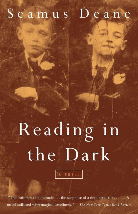 Produktbild: Reading in the Dark