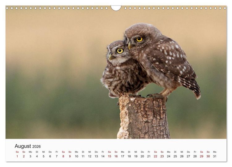 Produktbild: V&ouml;gel - Die K&ouml;nige der L&uuml;fte (Wandkalender 2026 DIN A3 quer), CALVENDO Monatskalender