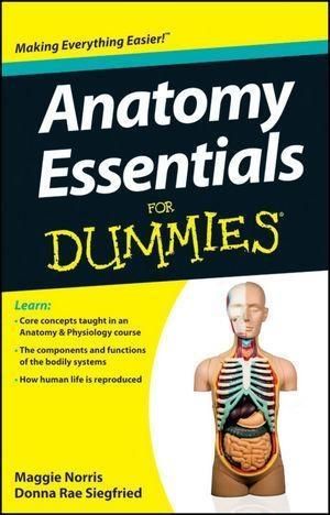 Produktbild: Anatomy Essentials For Dummies