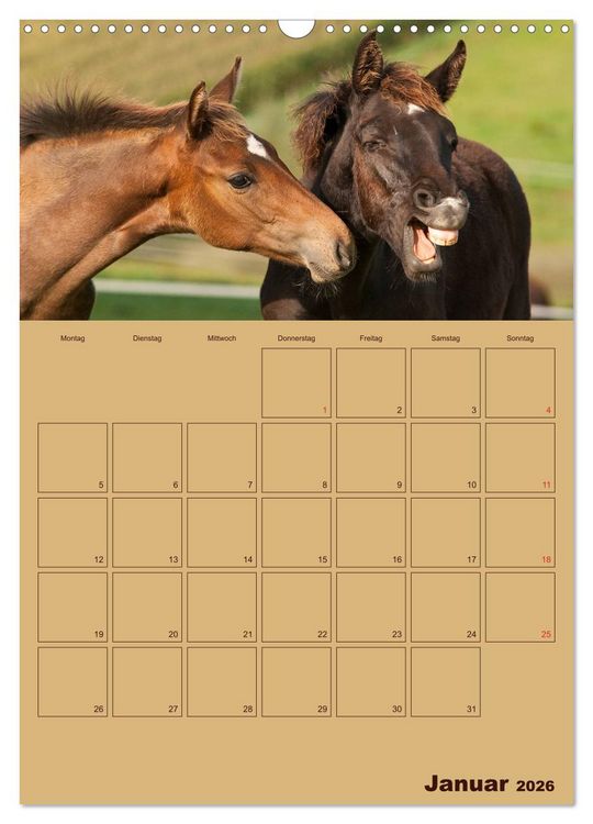 Produktbild: Pferde Gute Freunde (Wandkalender 2026 DIN A3 hoch), CALVENDO Monatskalender