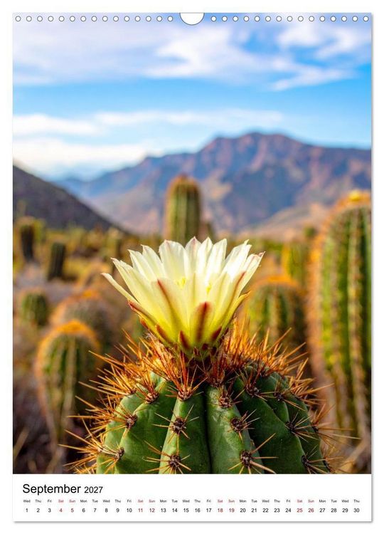 Produktbild: Beautiful Spiky Balls (Wall Calendar 2027 DIN A3 portrait), CALVENDO 12 Month Wall Calendar
