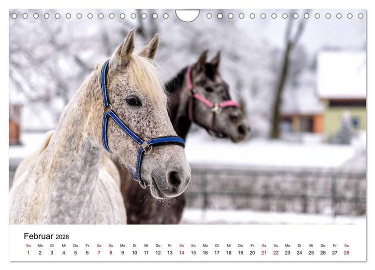 Produktbild: Masuren 2026 - Land der 1000 Seen (Wandkalender 2026 DIN A4 quer), CALVENDO Monatskalender