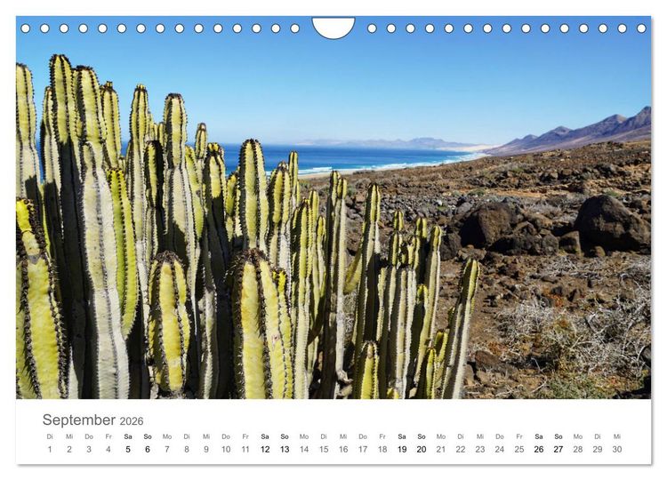 Produktbild: Fuerteventura - die W&uuml;steninsel der Kanaren (Wandkalender 2026 DIN A4 quer), CALVENDO Monatskalender