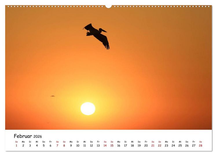 Produktbild: Eine Reise ins magische Donaudelta (Wandkalender 2026 DIN A2 quer), CALVENDO Monatskalender