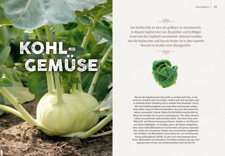 Produktbild: Gem&uuml;segarten &ndash; einfach machen!