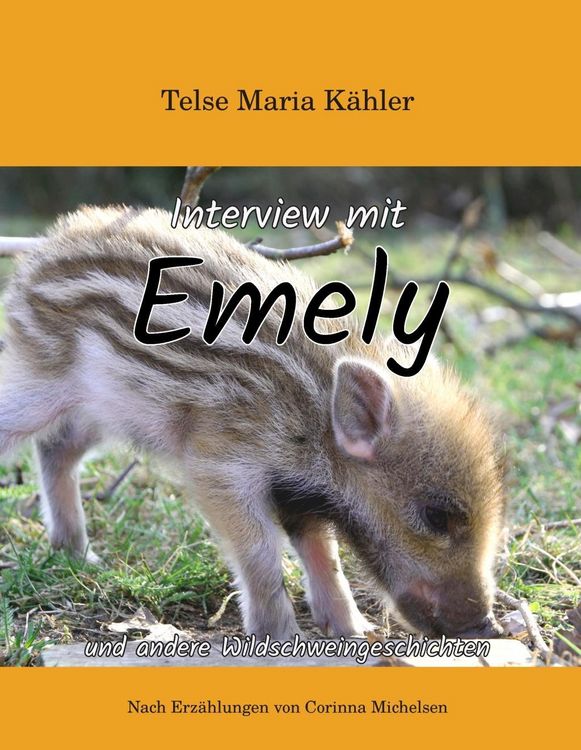 Produktbild: Interview mit Emely