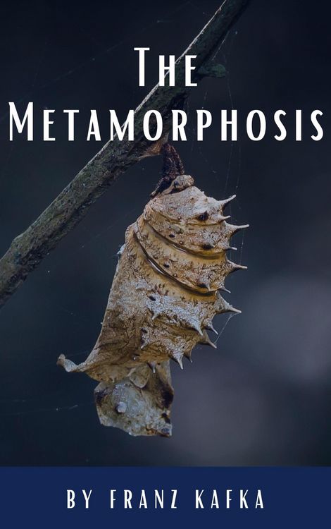 Produktbild: The Metamorphosis