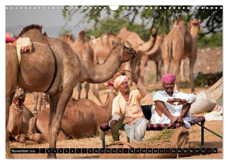 Produktbild: Indien - Rajasthan (Wandkalender 2026 DIN A3 quer), CALVENDO Monatskalender