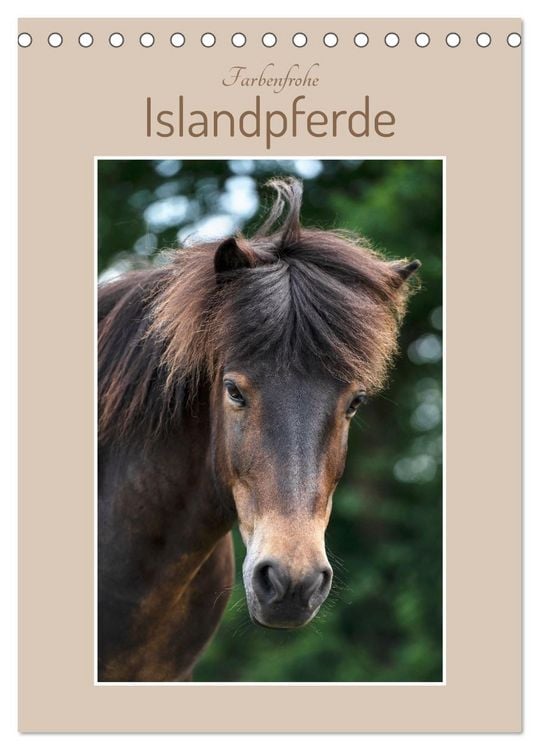 Produktbild: Farbenfrohe Islandpferde (Tischkalender 2026 DIN A5 hoch), CALVENDO Monatskalender