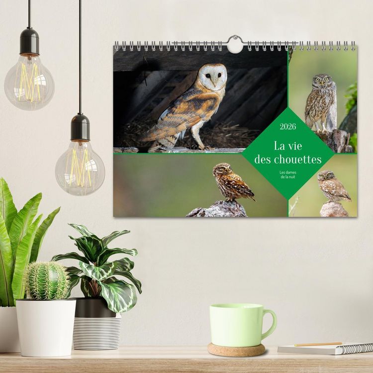 Produktbild: La vie des chouettes, les dames de la nuit (Calendrier mural 2026 DIN A4 vertical), CALVENDO calendrier mensuel