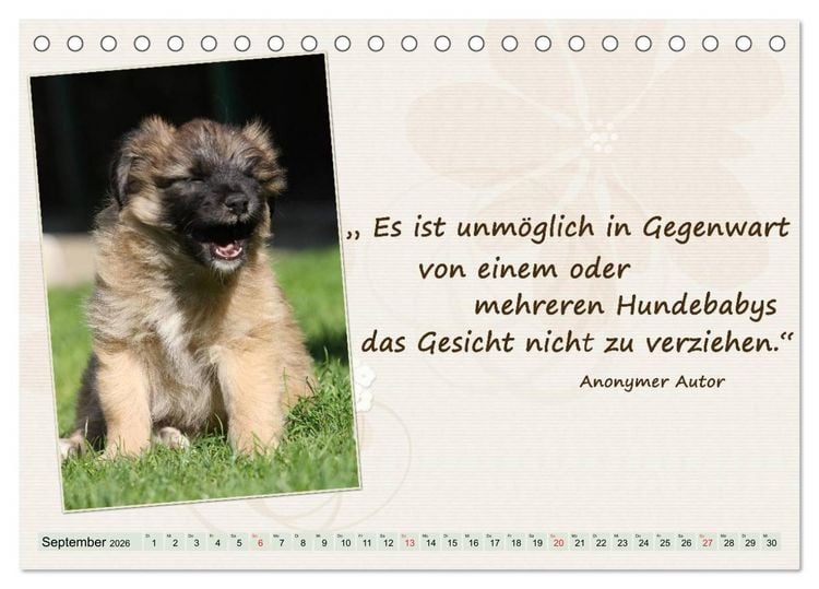 Produktbild: Mit Hundezitaten gut durchs Jahr / CH-Version (Tischkalender 2026 DIN A5 quer), CALVENDO Monatskalender