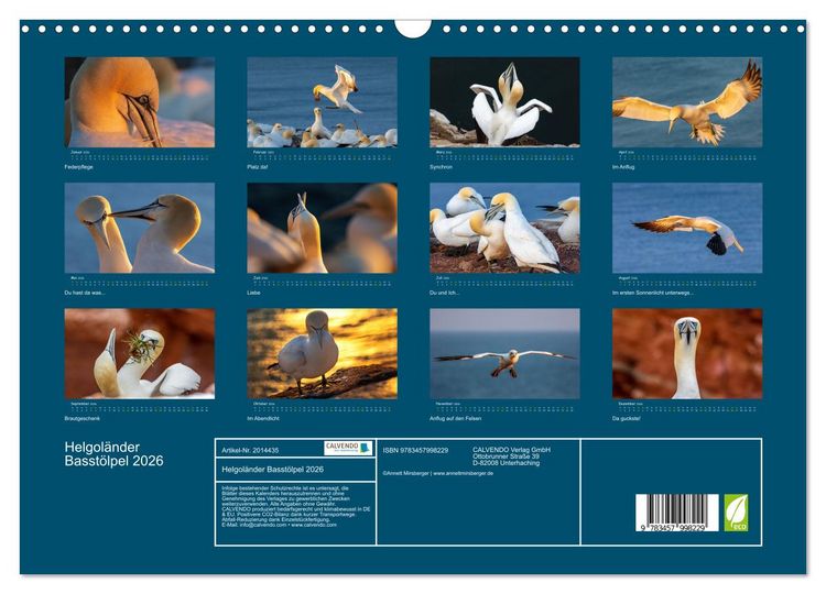 Produktbild: Helgol&auml;nder Basst&ouml;lpel 2026 (Wandkalender 2026 DIN A3 quer), CALVENDO Monatskalender