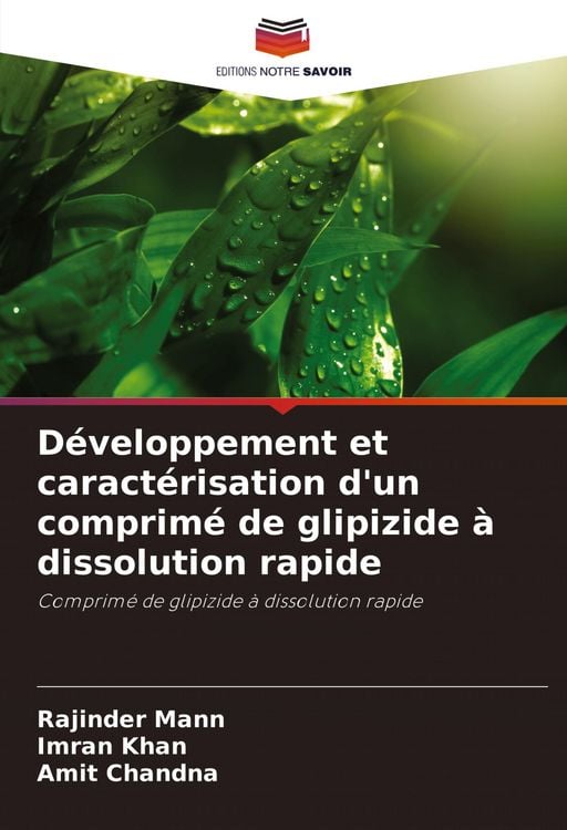 Produktbild: D&eacute;veloppement et caract&eacute;risation d'un comprim&eacute; de glipizide &agrave; dissolution rapide