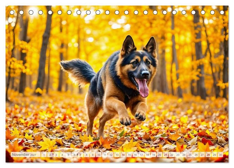 Produktbild: Sch&auml;ferhund 24/7 - Keine Pause f&uuml;r echte Helden (Tischkalender 2027 DIN A5 quer), CALVENDO Monatskalender