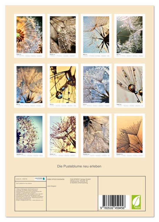 Produktbild: Die Pusteblume neu erleben (Wandkalender 2026 DIN A4 hoch), CALVENDO Monatskalender