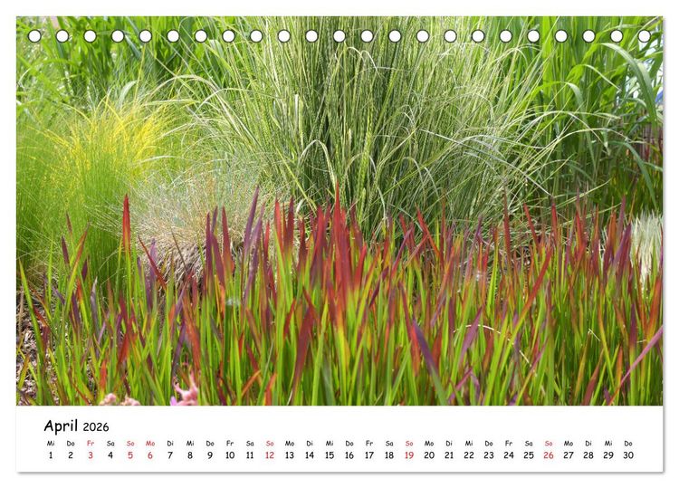 Produktbild: Mein Garten Eine Leidenschaft (Tischkalender 2026 DIN A5 quer), CALVENDO Monatskalender