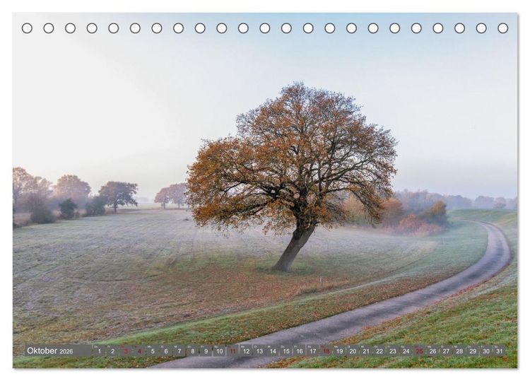 Produktbild: Naturlandschaft Elbe - Im Wechsel der Jahreszeiten (Tischkalender 2026 DIN A5 quer), CALVENDO Monatskalender