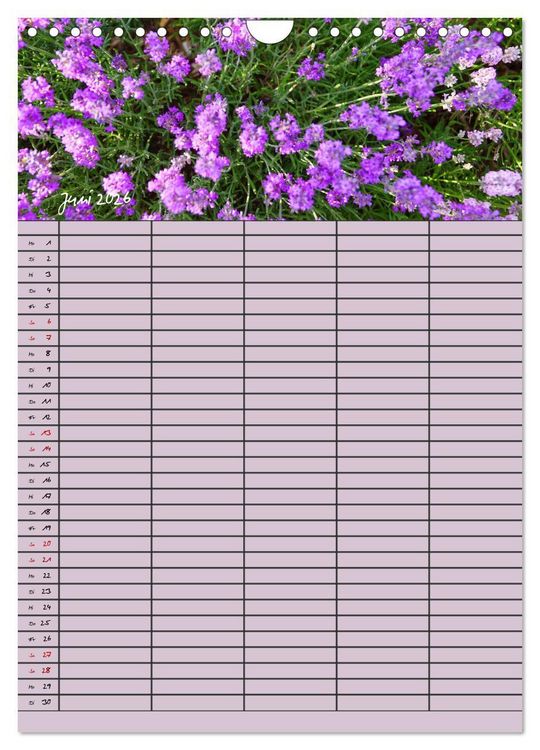 Produktbild: Naturzauber Lavendel - Familienplaner (Wandkalender 2026 DIN A4 hoch), CALVENDO Monatskalender