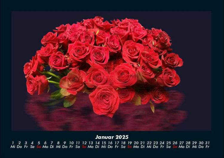 Produktbild: Rosen-Kalender 2025 Fotokalender DIN A4