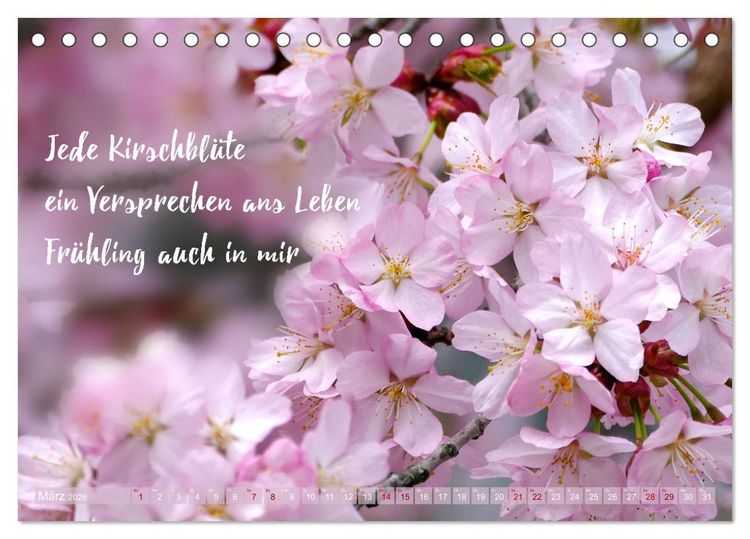 Produktbild: Haiku Poesie in Wort und Bild (Tischkalender 2026 DIN A5 quer), CALVENDO Monatskalender
