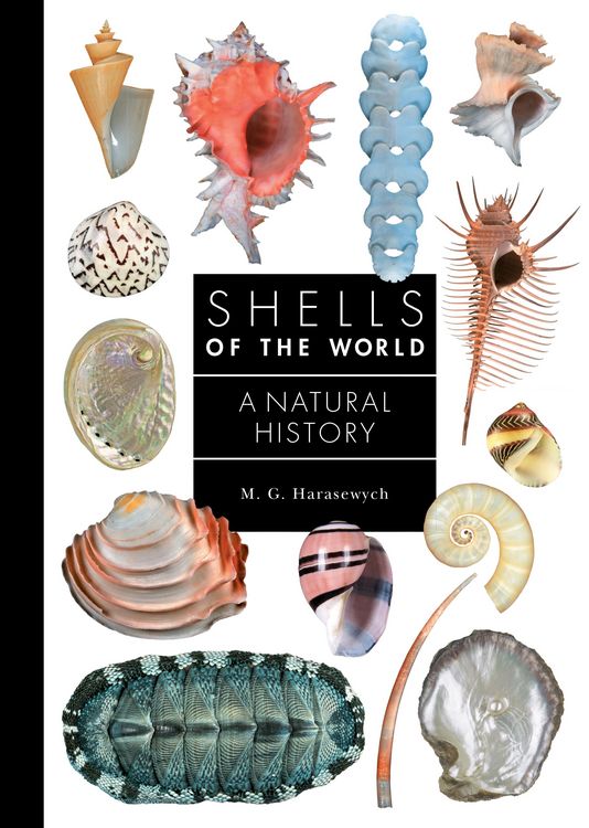 Produktbild: Shells of the World