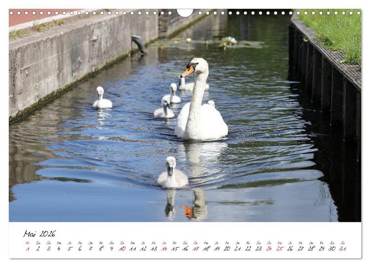 Produktbild: Boat and Bike S&uuml;dholland (Wandkalender 2026 DIN A3 quer), CALVENDO Monatskalender