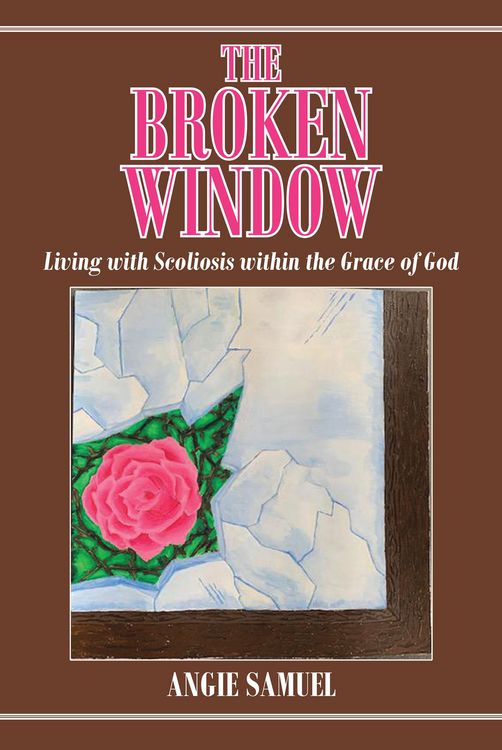 Produktbild: The Broken Window