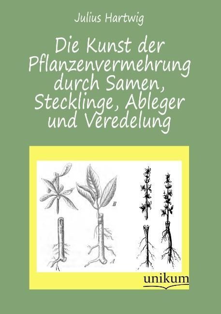 Produktbild: Hartwig, J: Kunst der Pflanzenvermehrung durch Samen, Steckl