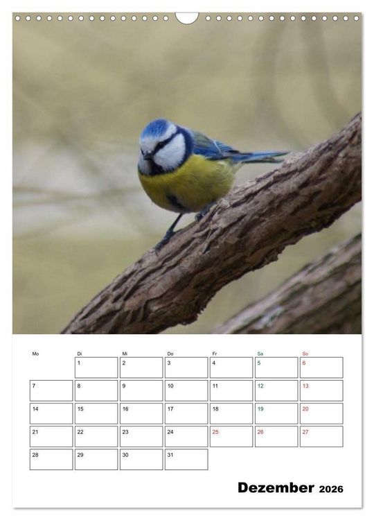 Produktbild: Heimische Singv&ouml;gel (Wandkalender 2026 DIN A3 hoch), CALVENDO Monatskalender