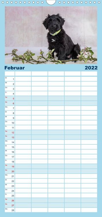 Produktbild: Briardbabys in ihren ersten Wochen - Familienplaner hoch (Wandkalender 2022 , 21 cm x 45 cm, hoch)
