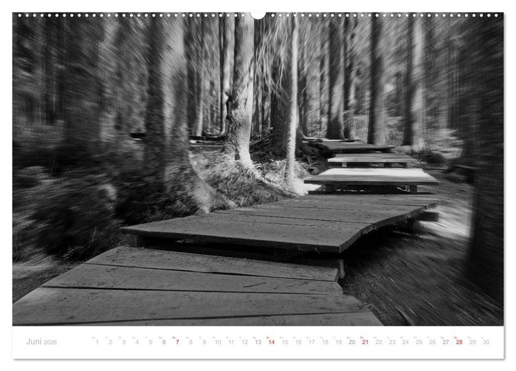Produktbild: Mystischer Schwarzwald (Wandkalender 2026 DIN A2 quer), CALVENDO Monatskalender