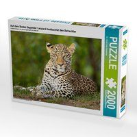 Produktbild: CALVENDO Puzzle Auf dem Boden liegender Leopard beobachtet den Betrachter | 2000 Teile Lege-Gr&ouml;&szlig;e 90x67cm Foto-Puzzle f&uuml;r gl&uuml;ckliche Stunden