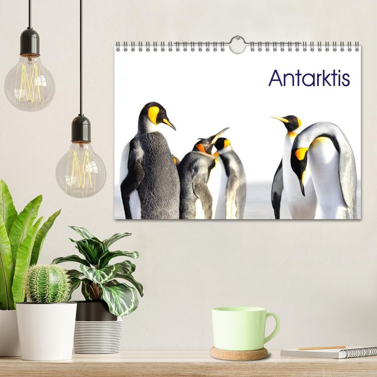 Produktbild: Antarktis - viaje.ch (Wandkalender 2026 DIN A4 quer), CALVENDO Monatskalender