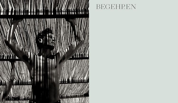 Produktbild: Fragile Beauty &ndash; zerbrechliche Sch&ouml;nheit