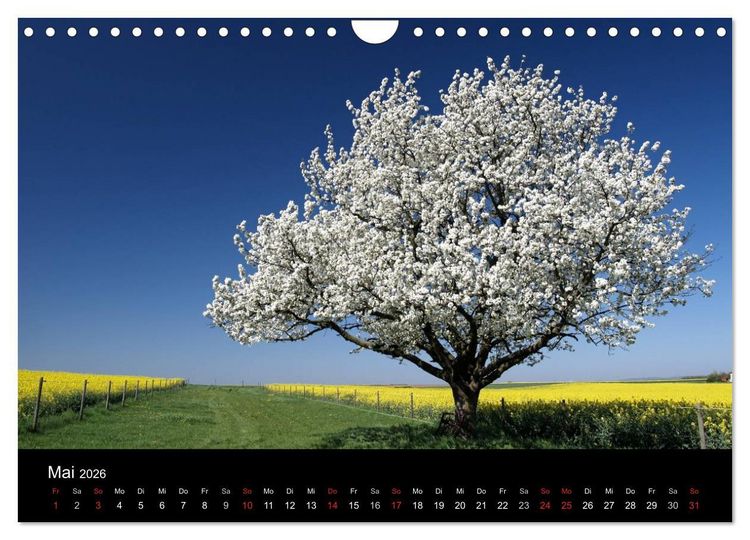 Produktbild: Himmel &uuml;ber Rheinhessen (Wandkalender 2026 DIN A4 quer), CALVENDO Monatskalender
