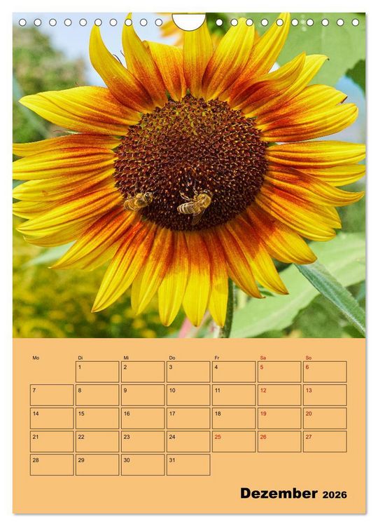 Produktbild: Die Biene und die Farbe gelb (Wandkalender 2026 DIN A4 hoch), CALVENDO Monatskalender