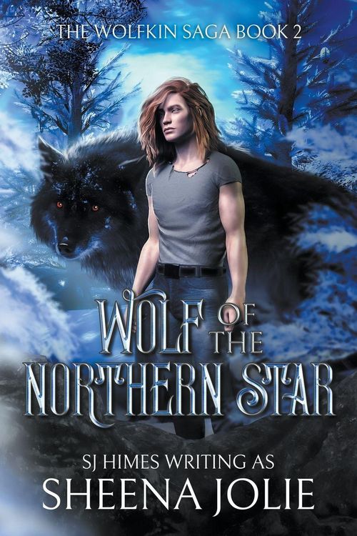 Produktbild: Wolf of the Northern Star