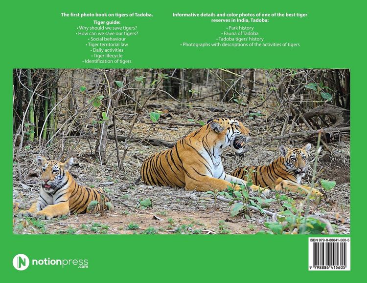 Produktbild: Kingdom of Tigers - Tadoba