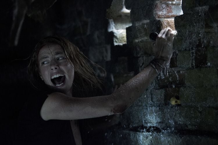 Produktbild: Crawl