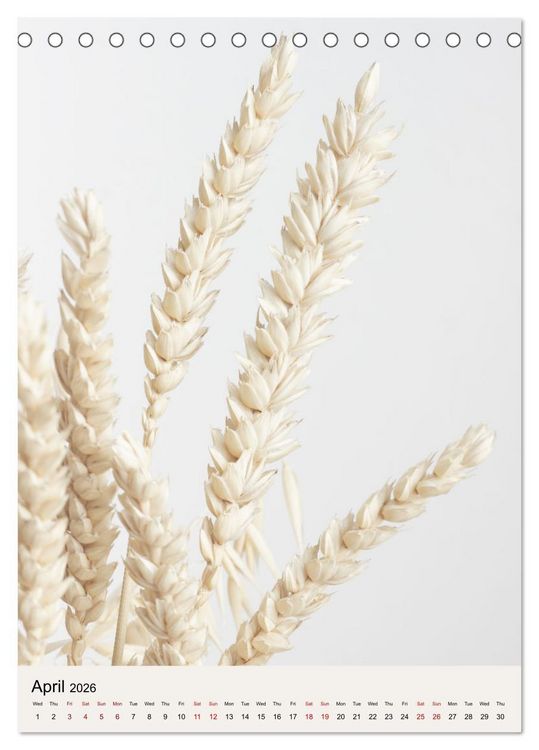 Produktbild: Dried Flowers (Desk Calendar 2026 DIN A5 portrait), CALVENDO 12 Month DeskCalendar
