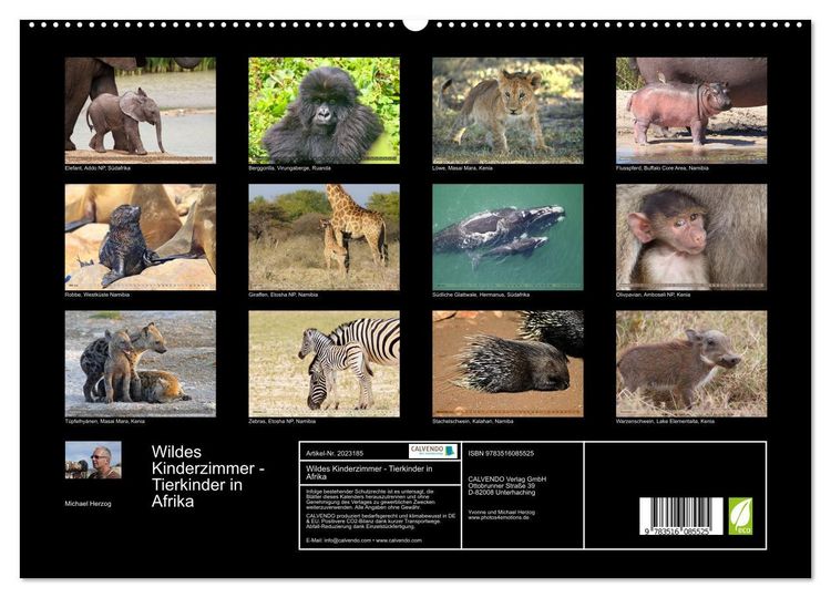 Produktbild: Wildes Kinderzimmer - Tierkinder in Afrika (hochwertiger Premium Wandkalender 2026 DIN A2 quer), Kunstdruck in Hochglanz